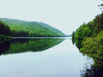 Reflection of trees in water