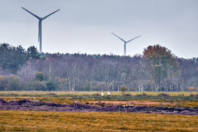 Windmill on field against sky