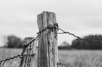 Close-up of barbed wire fence against sky