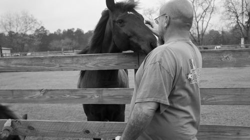 Man standing near horse on farm