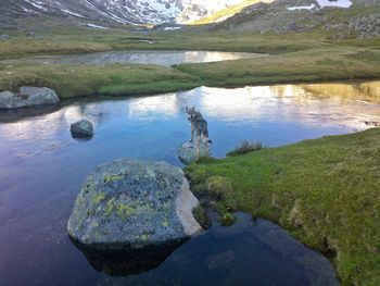 Scenic view of lake against sky