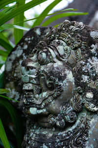 Close-up of butterfly on tree