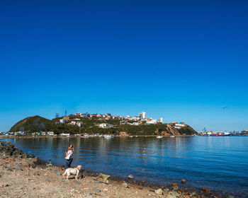 Scenic view of sea against clear blue sky