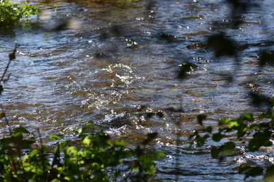 Close-up of water flowing in lake