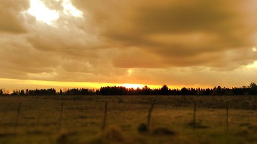 Scenic view of field against sky during sunset