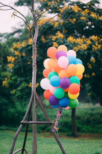 Close-up of multi colored balloons against trees