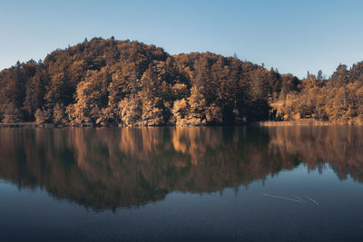 Reflection of trees in lake against clear sky