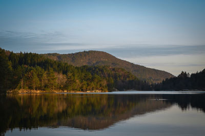 Scenic view of lake by trees against sky