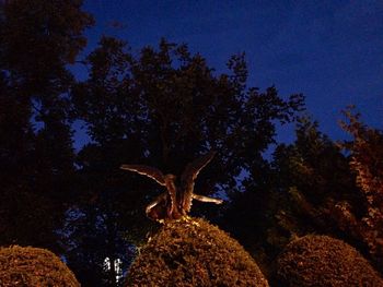 Low angle view of trees against blue sky