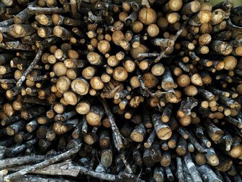 Full frame shot of firewood