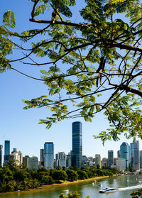 Buildings in city