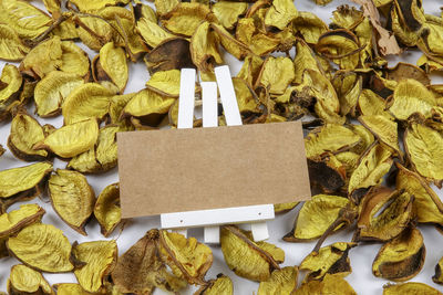 Close-up of dry leaves and easel over white background