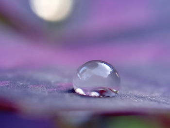 Close-up of water drops on glass