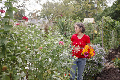 A smiling woman cuts a large bouquet of zinnias from a flower garden