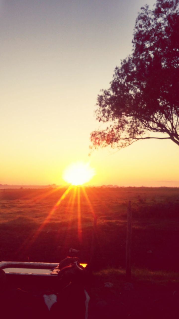 SUN SHINING OVER FIELD