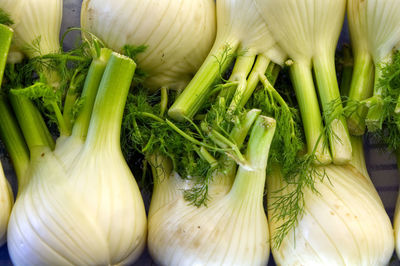 High angle view of vegetables for sale in market