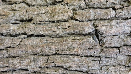 Full frame shot of weathered wall