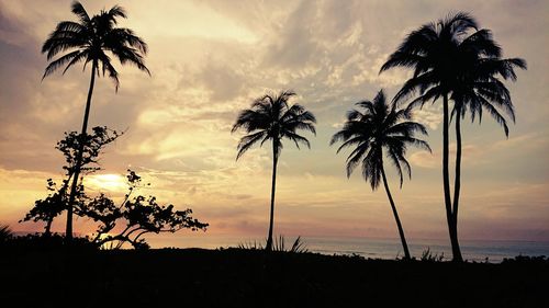 Silhouette palm trees against sky during sunset