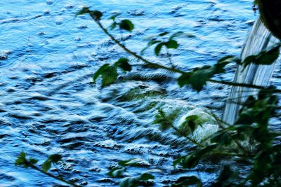 Close-up of rippled water