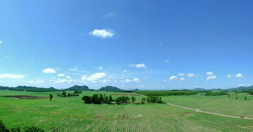 Scenic view of farm against sky