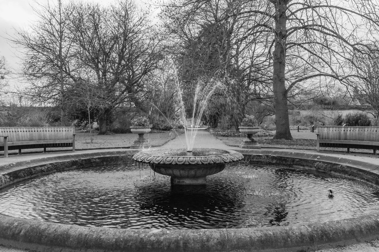 VIEW OF FOUNTAIN IN PARK AT NIGHT