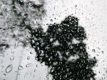 Raindrops on glass window