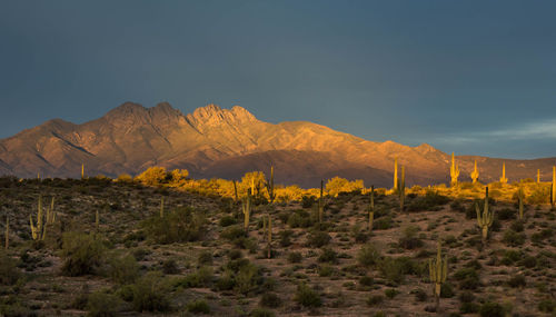 Scenic view of desert against sky