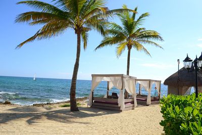 Palm trees on beach against sky