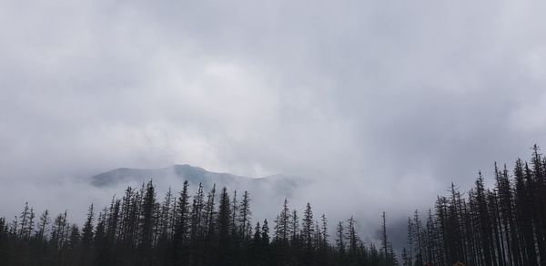 Panoramic view of forest against sky, smreczynski wierch