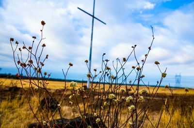 Scenic view of field against cloudy sky