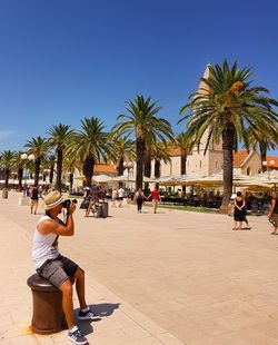 People photographing palm trees against clear sky