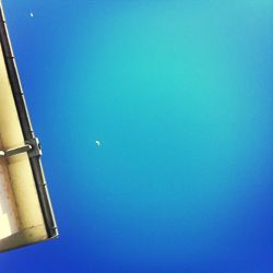 Low angle view of tree against blue sky