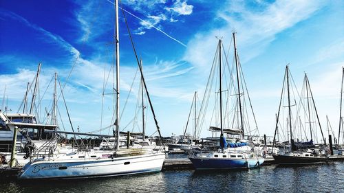 Sailboats in marina