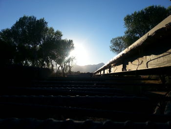 Scenic view of trees against clear sky