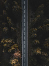 High angle view of road by trees at night