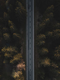 High angle view of road by trees 