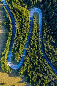 Aerial view of winding road in forest