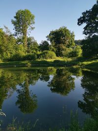 Scenic view of lake by trees against sky