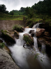 View of waterfall in forest
