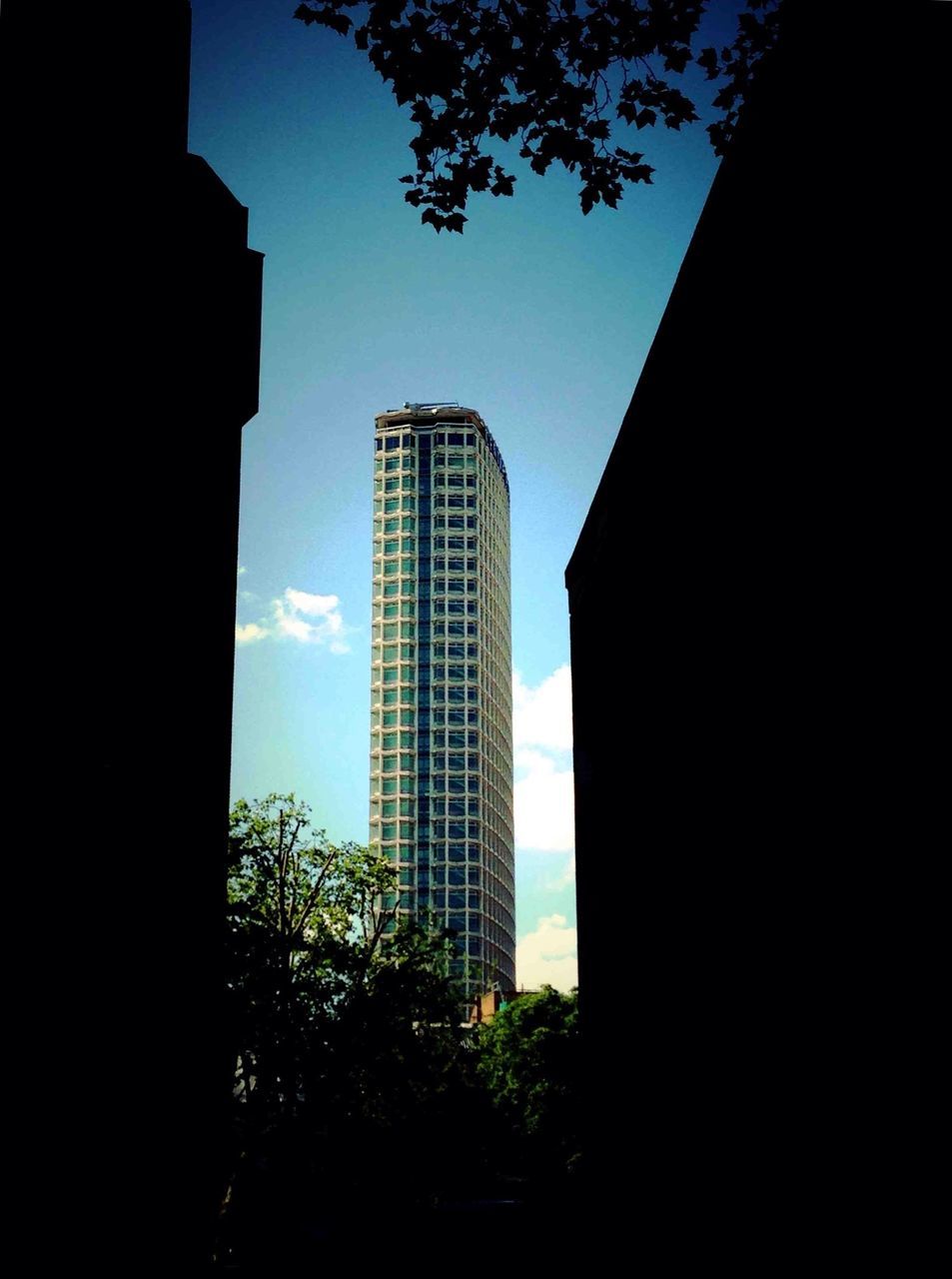 architecture, built structure, building exterior, skyscraper, city, tower, tall - high, low angle view, tree, sky, modern, office building, building, silhouette, growth, clear sky, tall, no people, outdoors, day