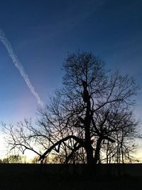 Silhouette bare tree against clear sky