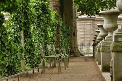 Statue against trees