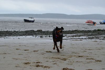 People on beach