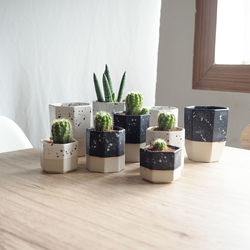 Close-up of potted plants on table