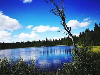 Scenic view of river against cloudy sky