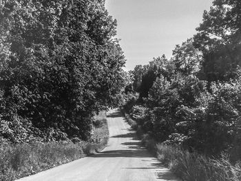 Road amidst trees against clear sky