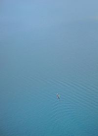 High angle view of person surfing in sea