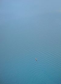 High angle view of person surfing in sea