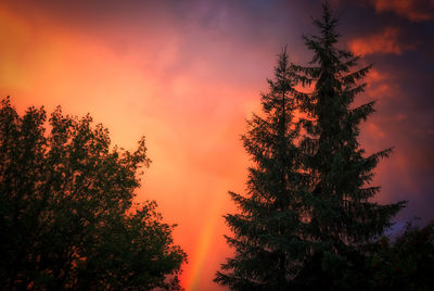Low angle view of silhouette trees against sky during sunset