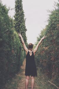 Rear view of young woman with arms raised standing amidst trees on field